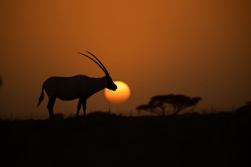 Фотография автора Nagarajan P