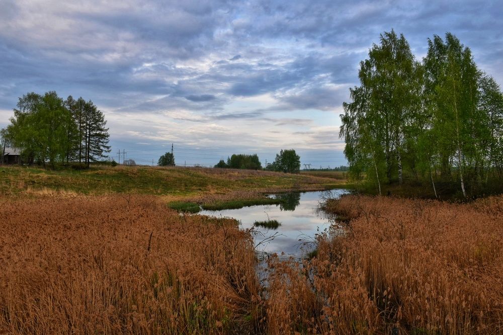 В путешествии по стране...