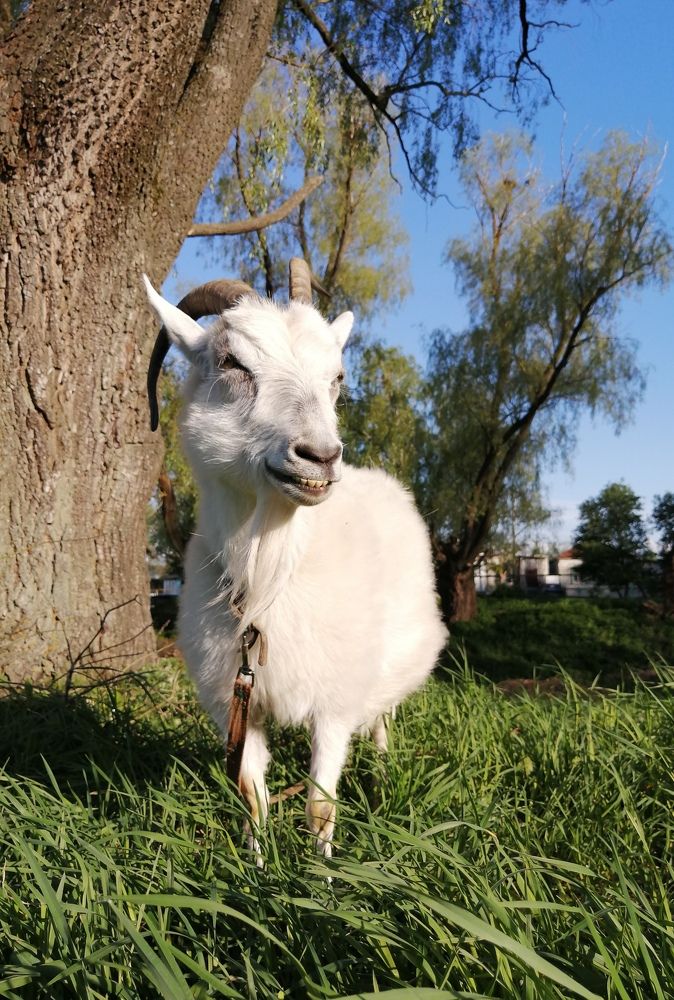 Photograph by Марина