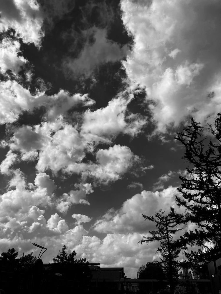 Фотография автора Anyutkin