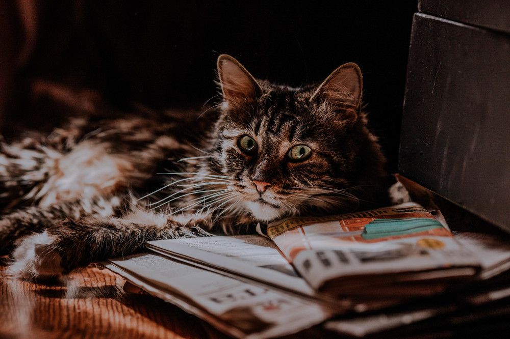 Photograph by Олеся Колитченко