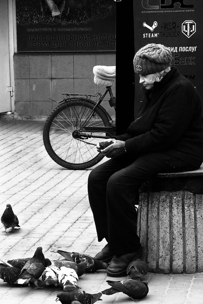 Bread and pigeons / Хлеб и голуби
