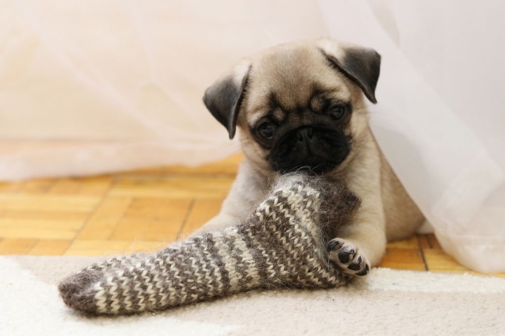 Photograph by Дарья Кузнецова