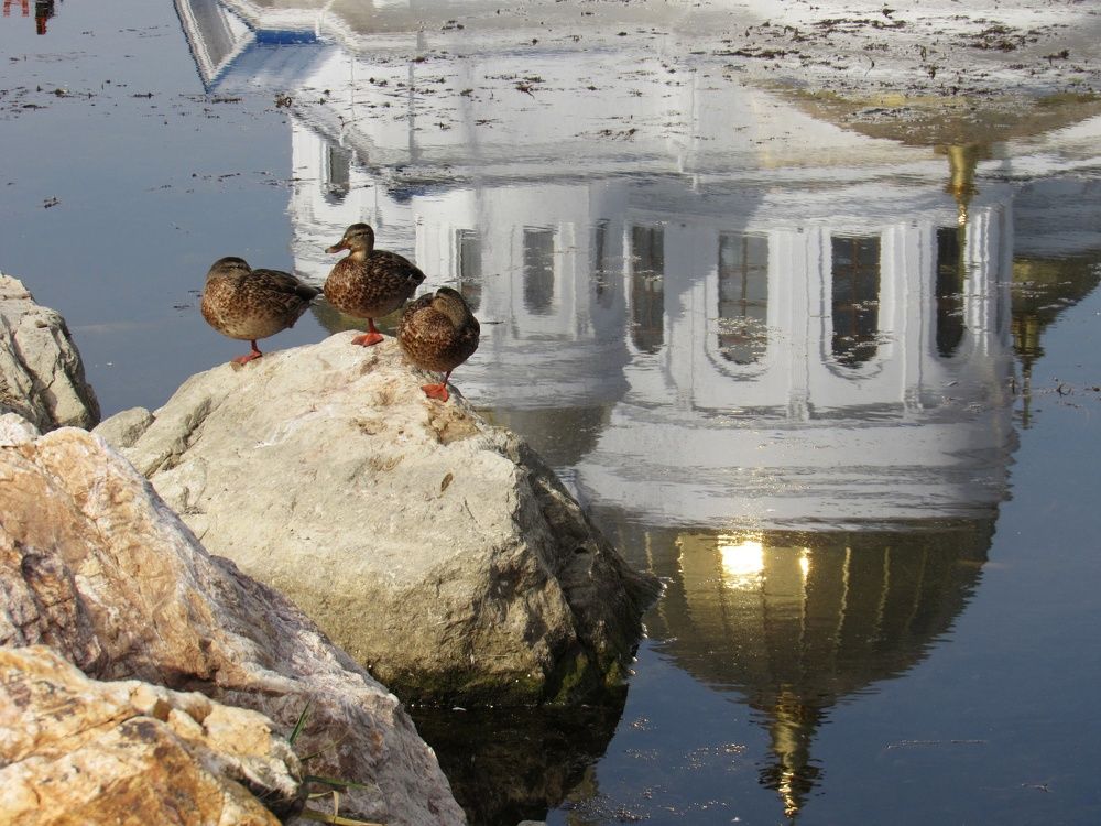 Photograph by Марина Савченко