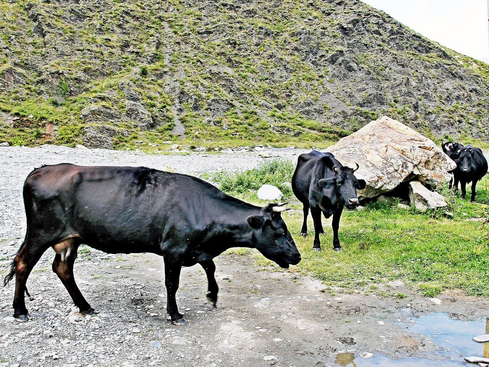 Photograph by Александр Бугаенко