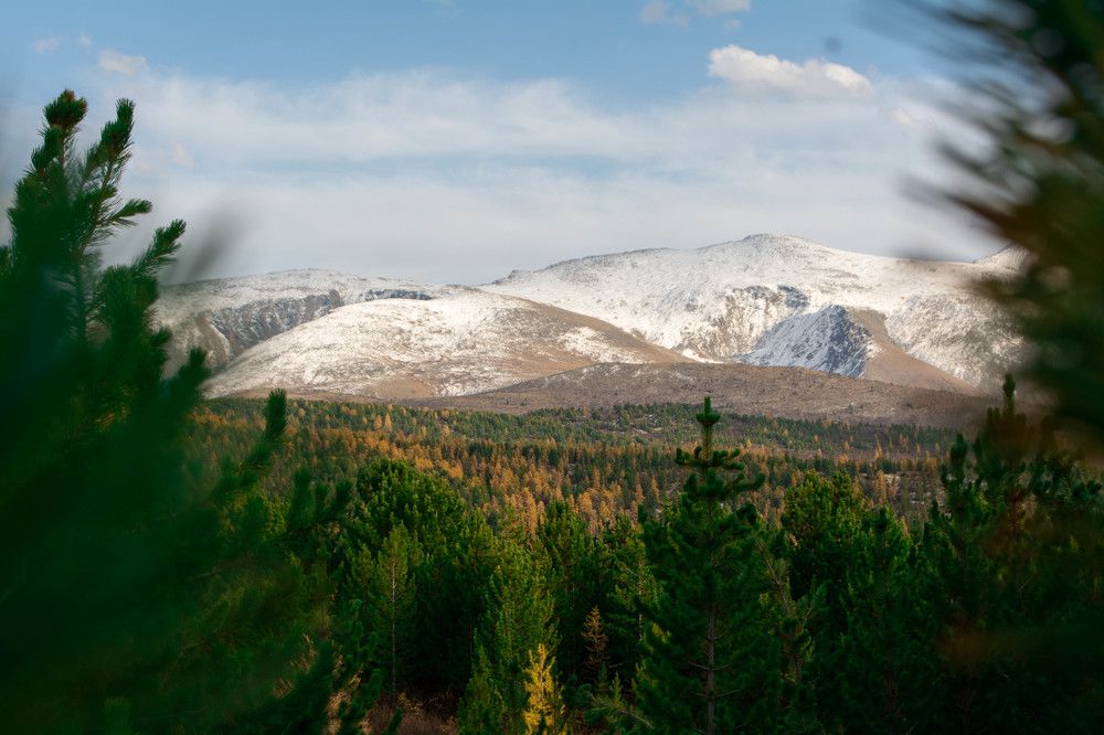 Photograph by Ирина Рудакова