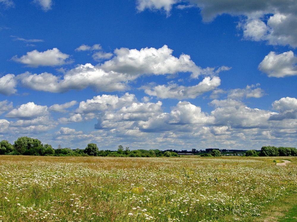 Летний полдень.