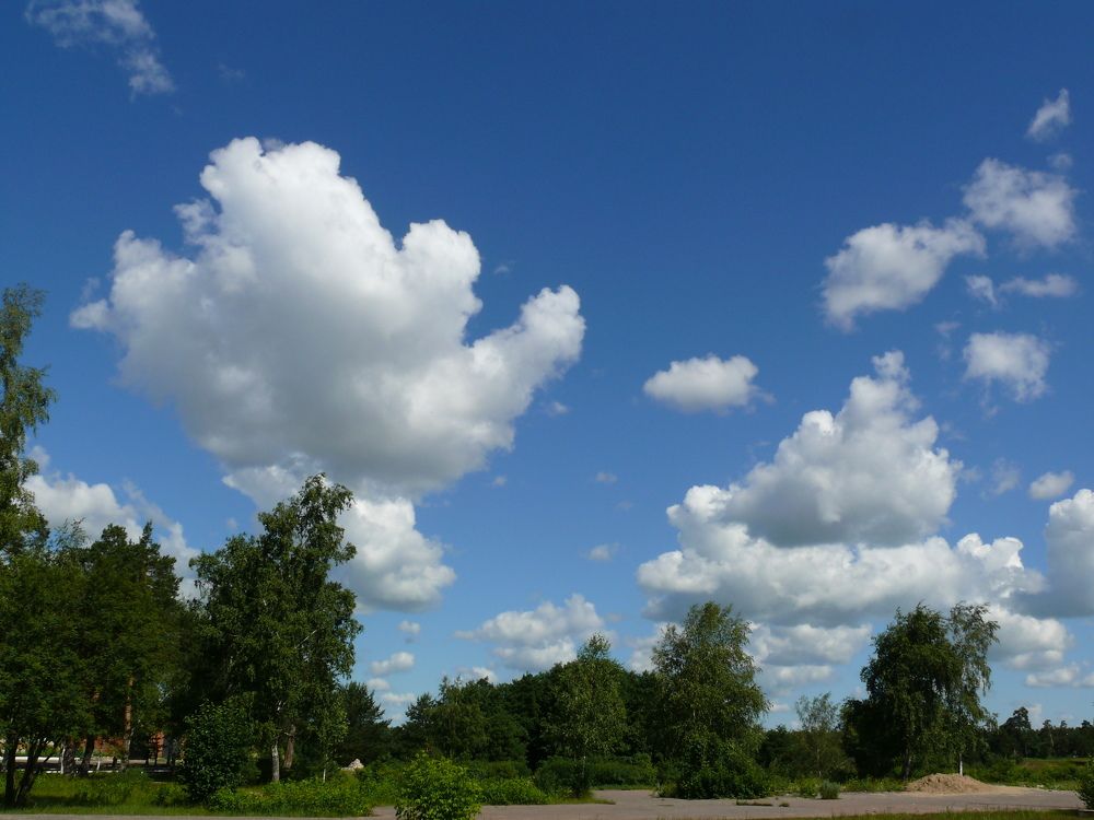 Фотография автора Анатолий Борисов