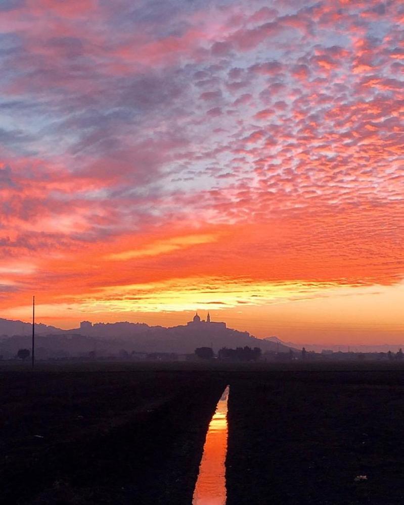 Photograph by Марина Неберекутина