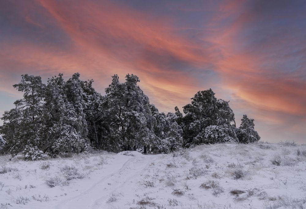 Зимний закат