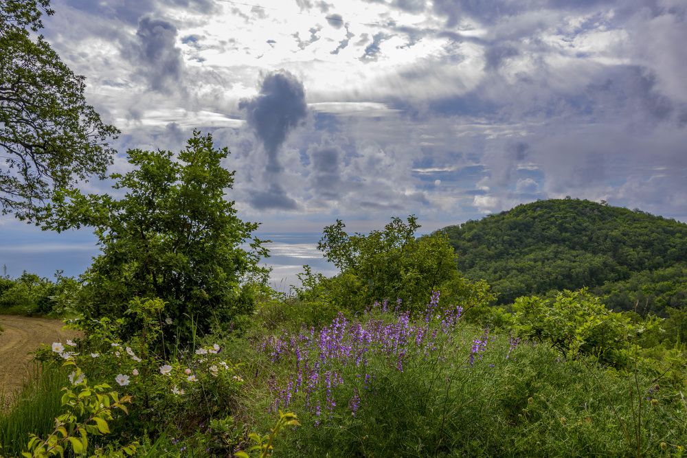 Photograph by Будаква Сергей