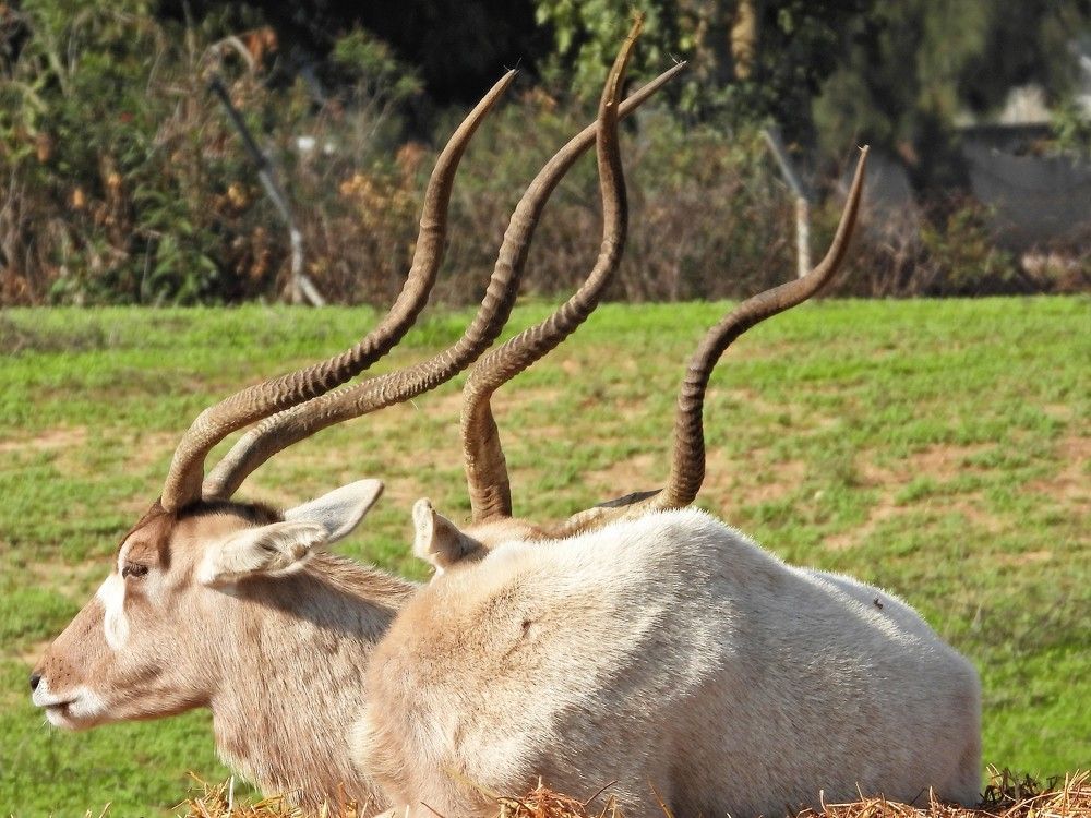 Photograph by Tamir Mor