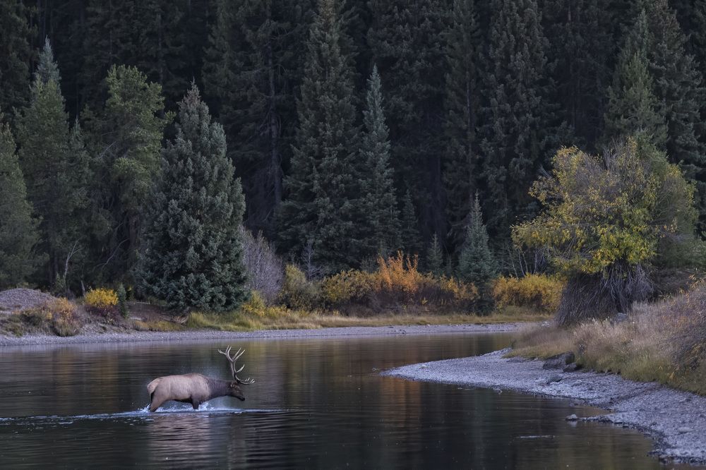 Photograph by Jorn Vangoidtsenhoven