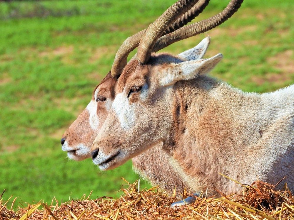 Photograph by Tamir Mor