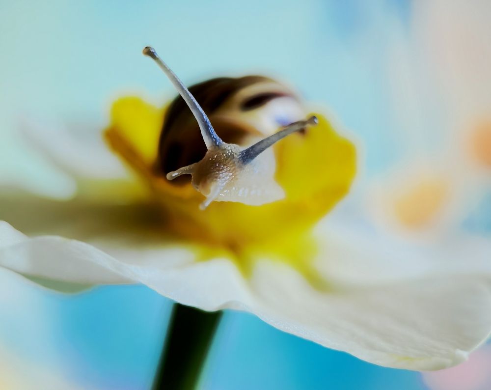 Photograph by Татьяна С