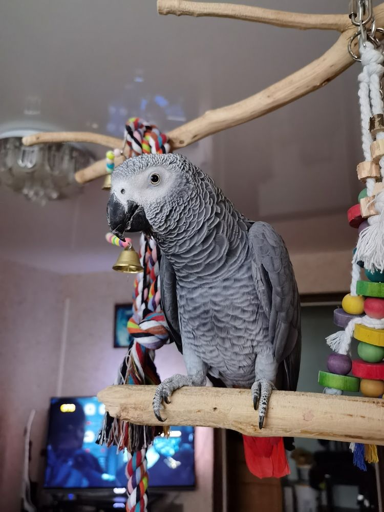 Photograph by Татьяна С