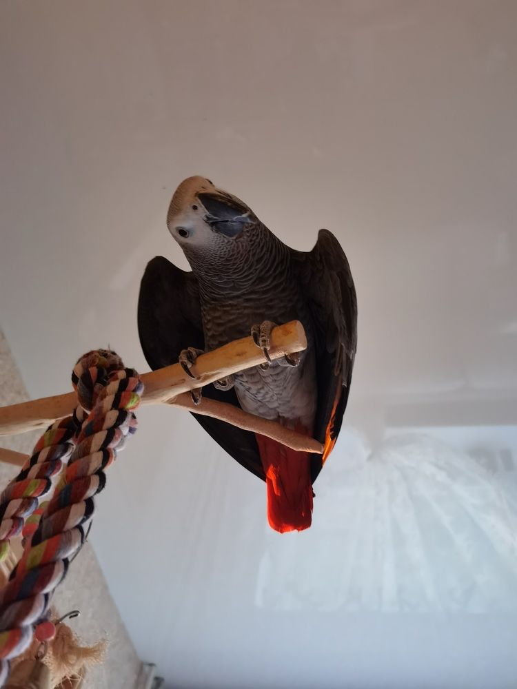 Photograph by Татьяна С