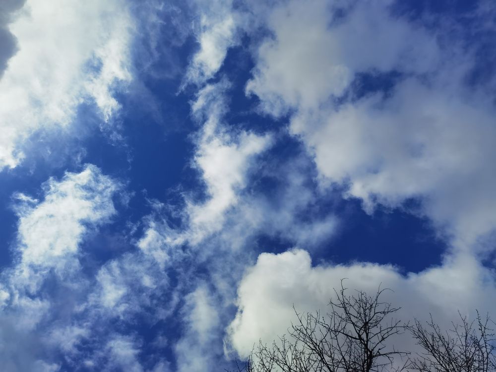 Photograph by Татьяна С