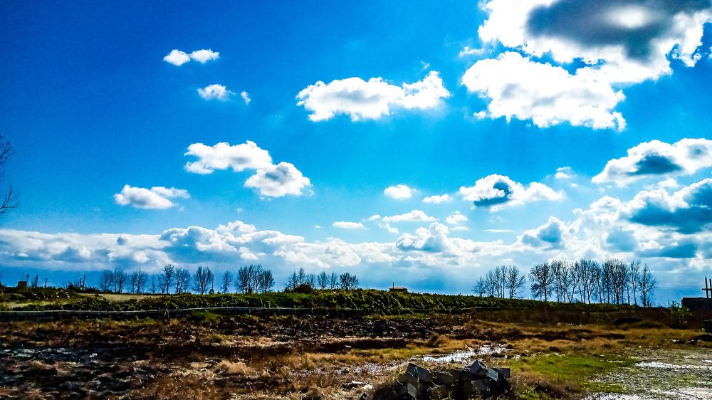 Photograph by Fereshte