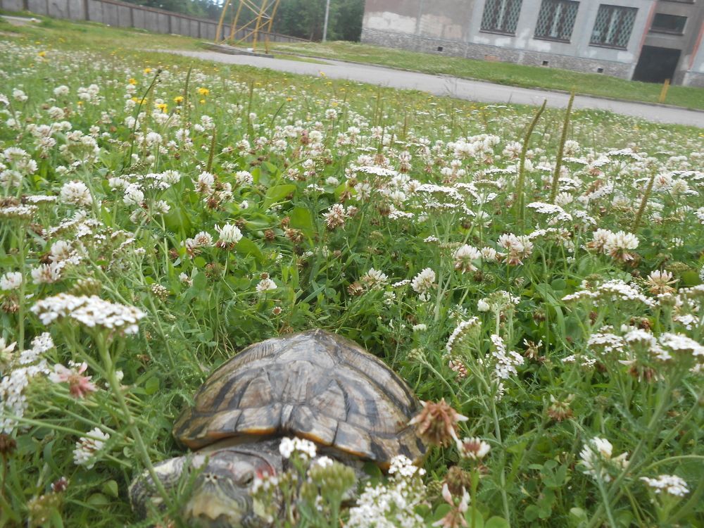 Photograph by Ольга Попова