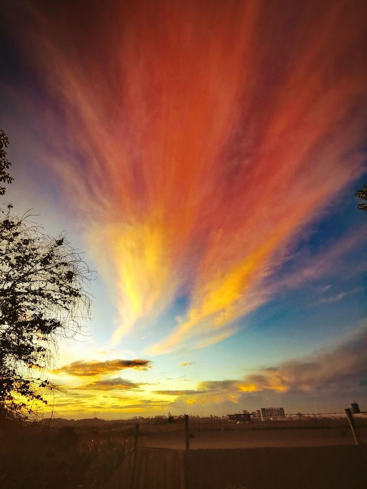 Photograph by Chunhou Poon