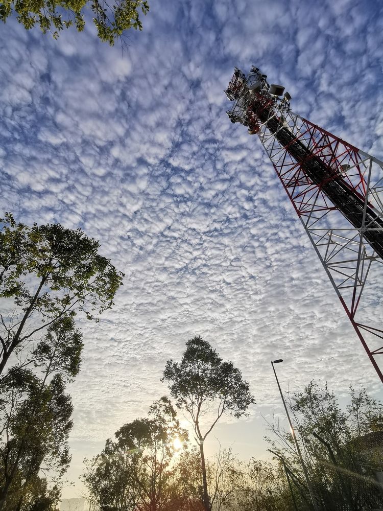 Photograph by Chunhou Poon