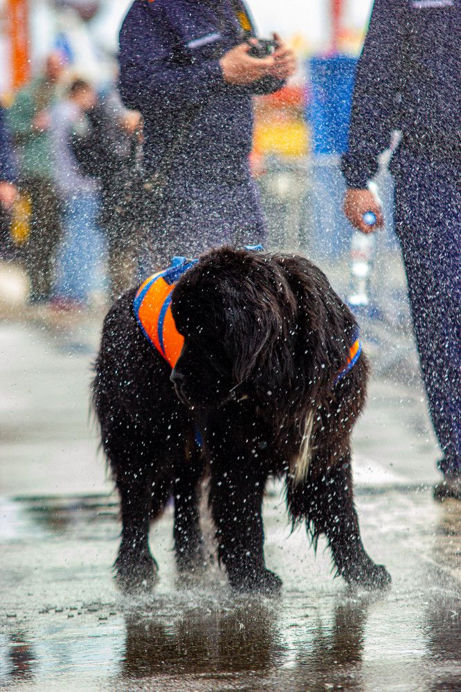 Photograph by Сергей Лашнев