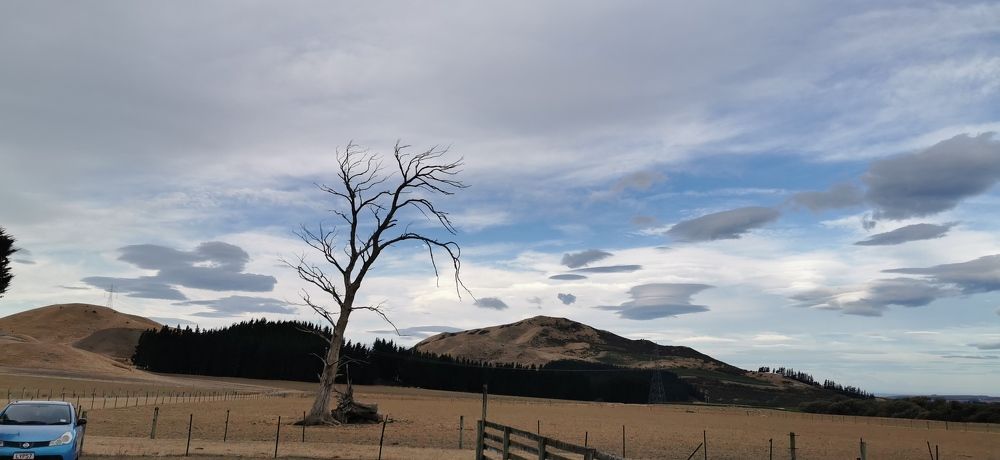 Landscape