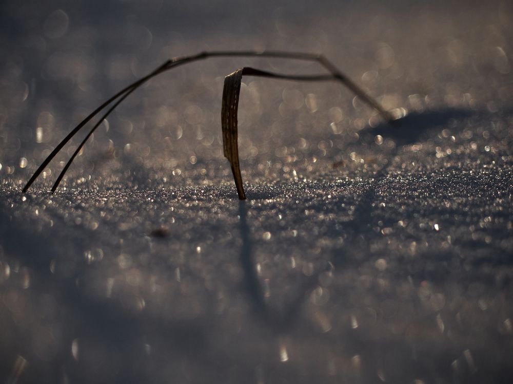 Фотография автора Игорь Игоревич