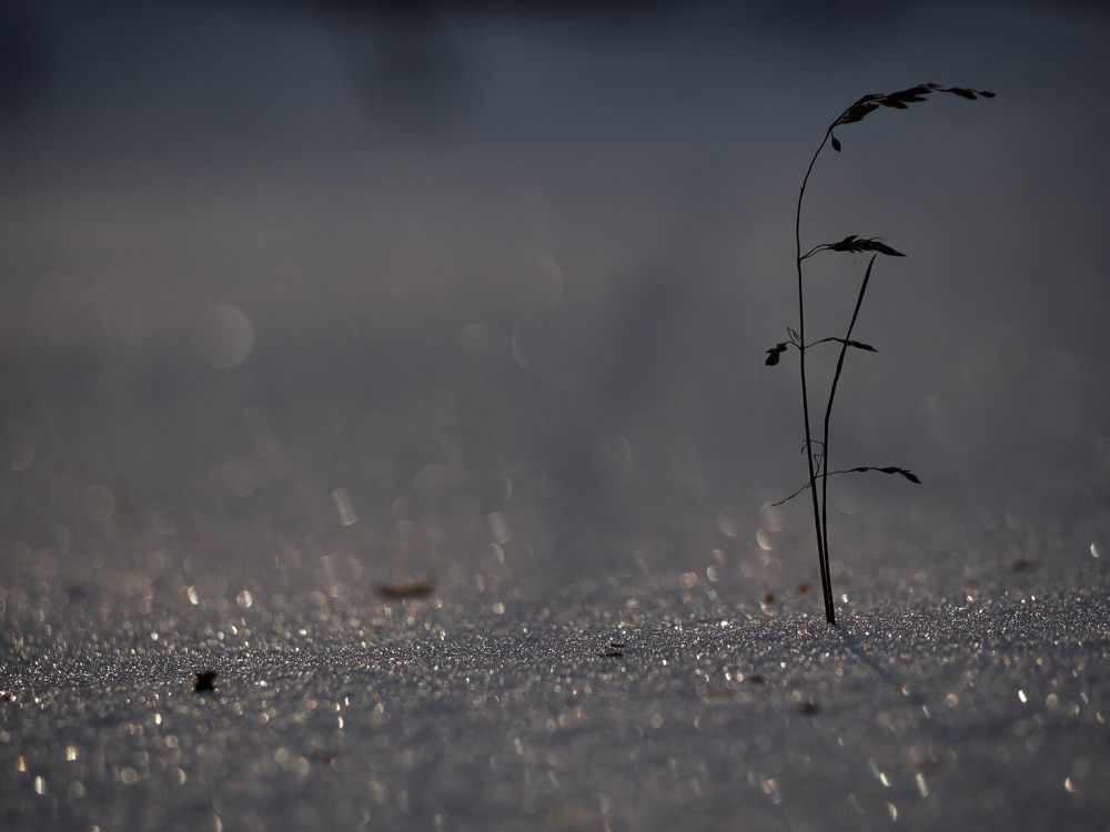 Фотография автора Игорь Игоревич