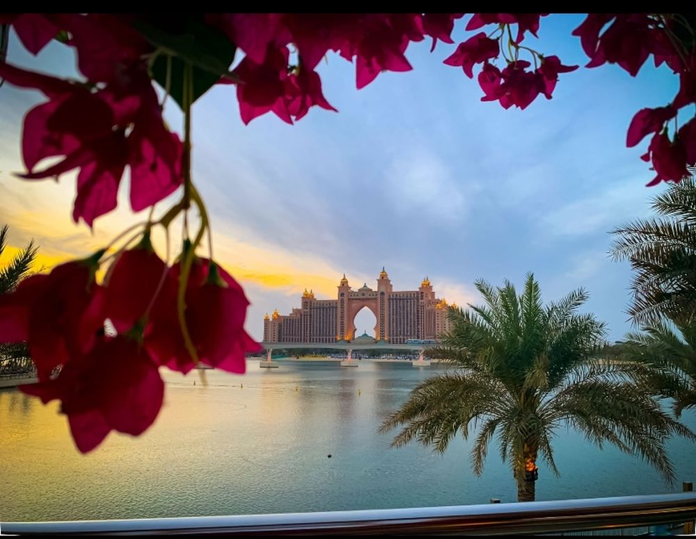 Photograph by Ahmed zaki