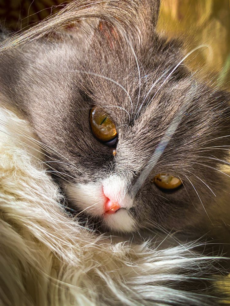 Photograph by Ahmed zaki