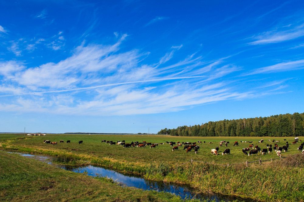 Теплый день