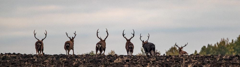 Photograph by Юрий Чернов