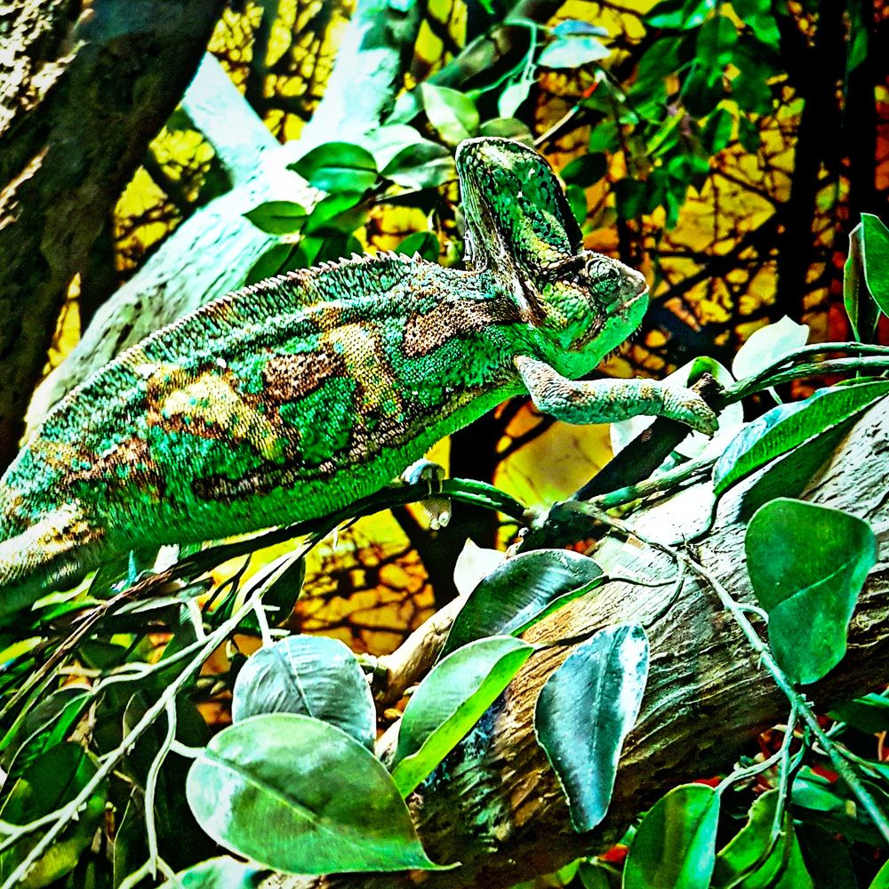 Photograph by Ahmed zaki