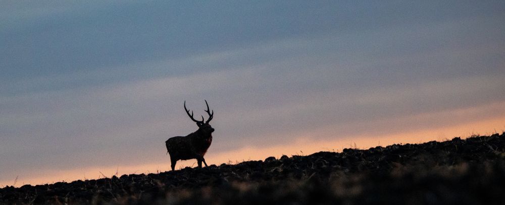 Photograph by Юрий Чернов