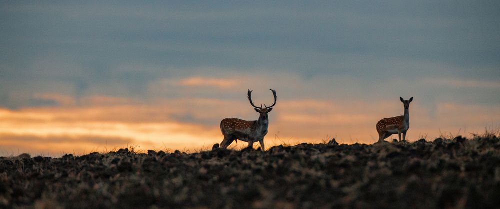 Photograph by Юрий Чернов