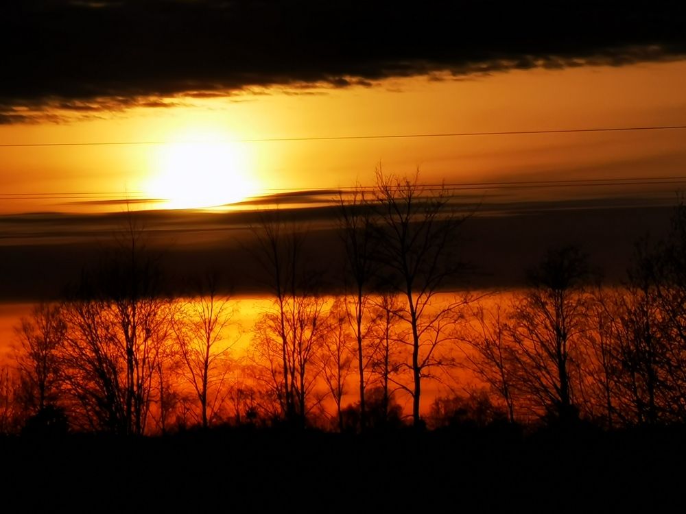 Photograph by Rünno kustassoo