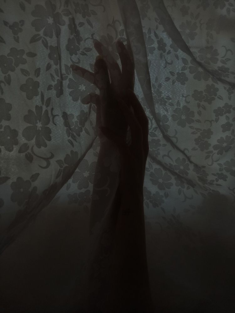 Photograph by niloufar kiyani movahhed