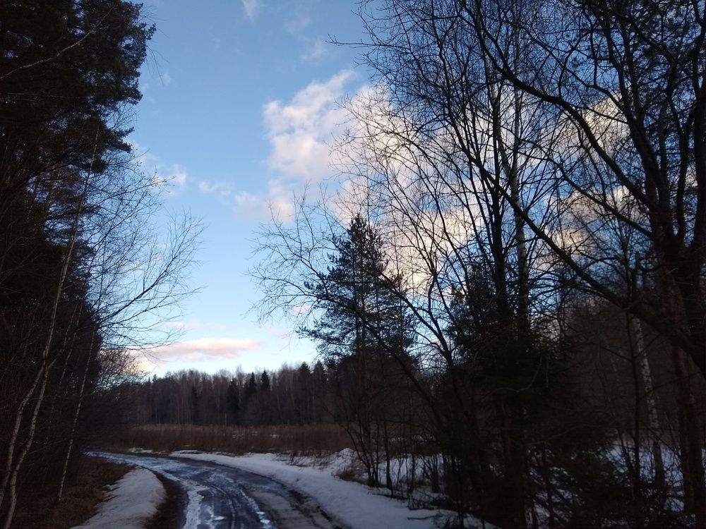 Photo #6117149