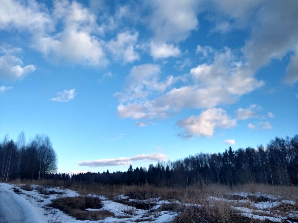 Photo #6117156