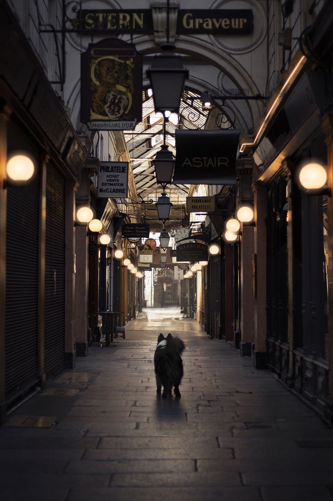 Фотография автора Lucile Novène