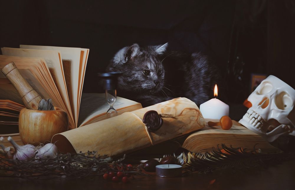 Photograph by Margarita