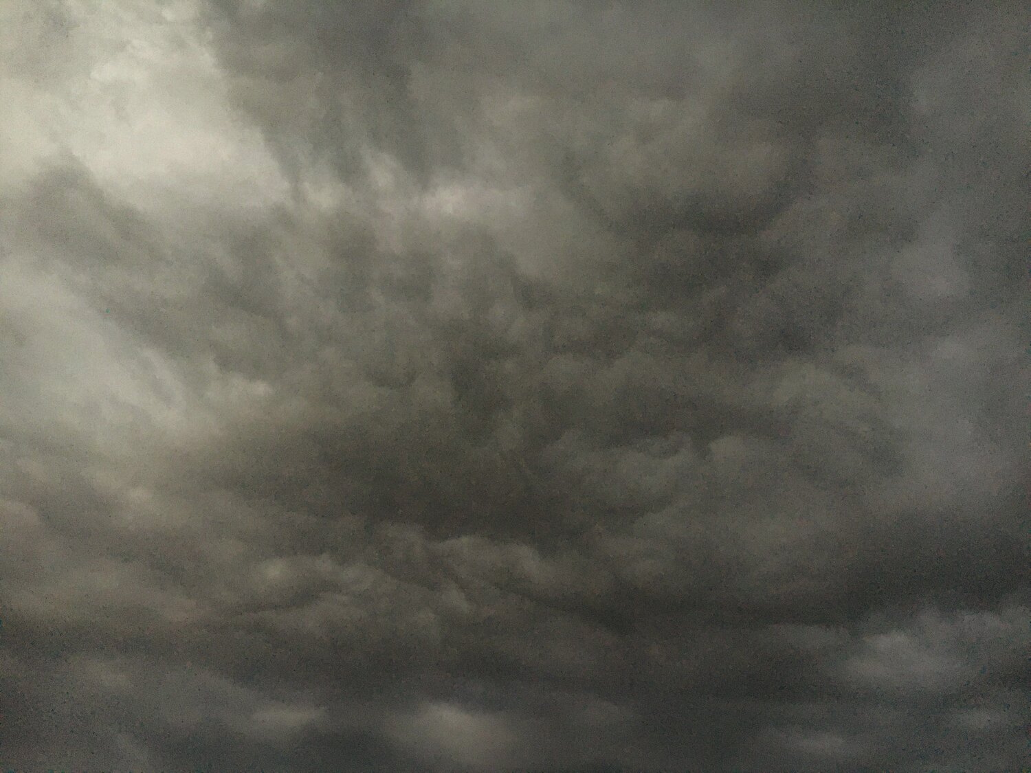 Photo #6117187