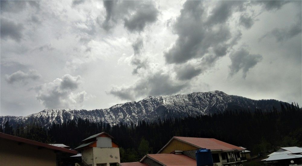 Photo #6117188
