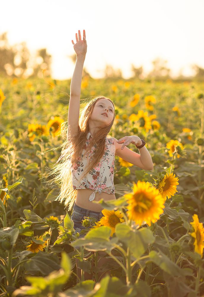 Золотой вечер