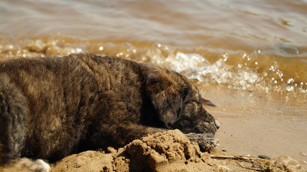 Photograph by Иван Кирилков