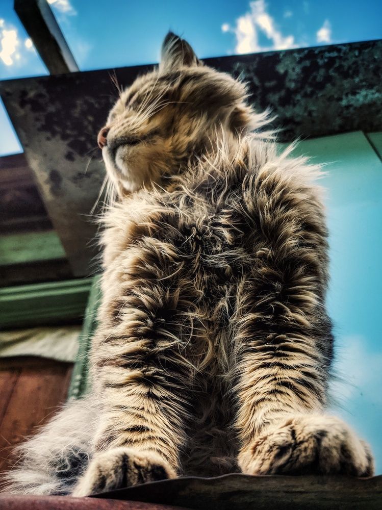 Photograph by Наталья Егорова