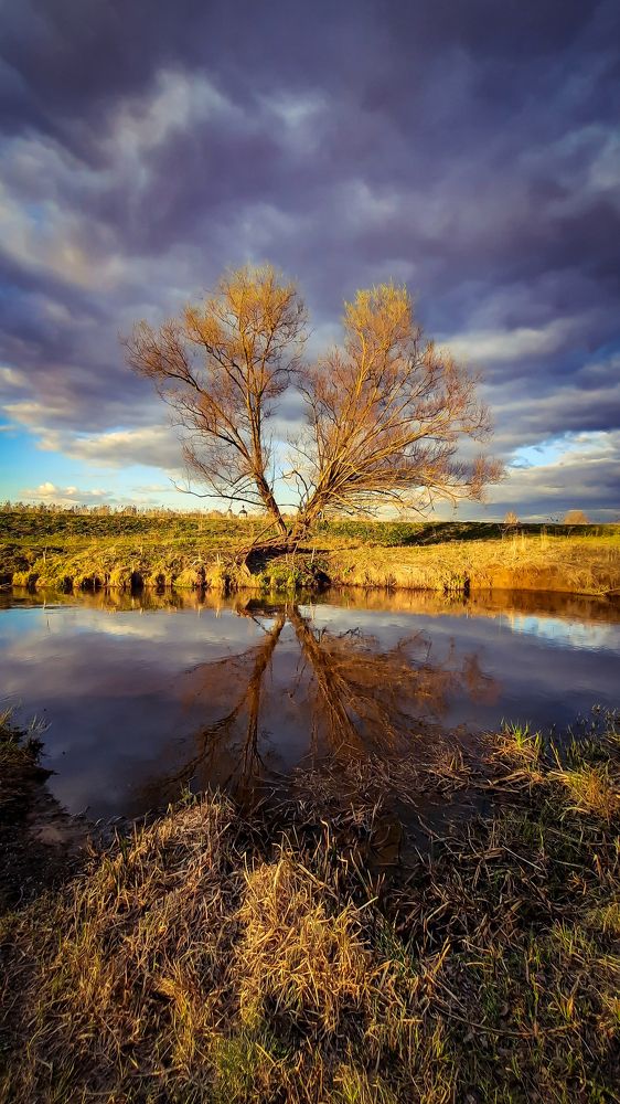 Photograph by Василий Фроленок