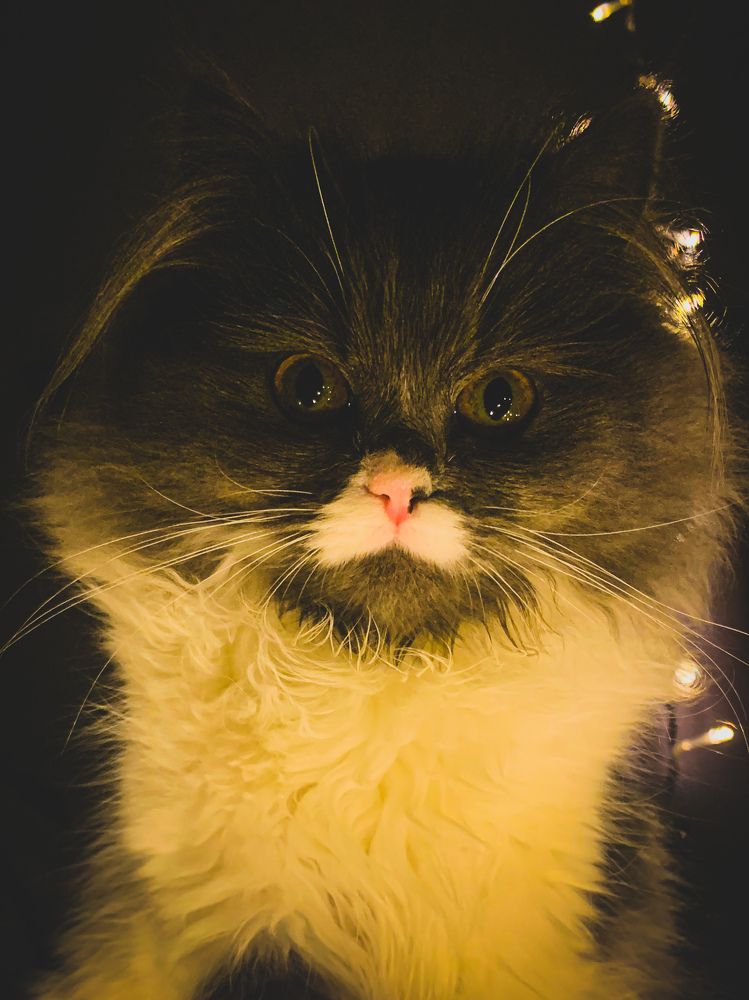 Photograph by Ahmed zaki